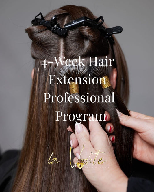 4 week Hair Extension Certification Program